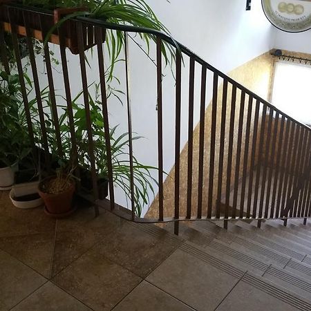 شقة Dom Sportowca Roko غدانسك المظهر الخارجي الصورة